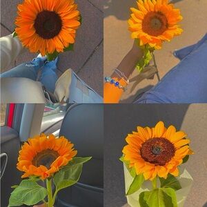 Vibrant Orange Sunflower Bouquet